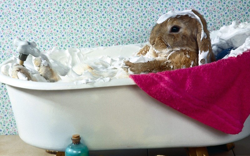bunnytown bathtub bunny